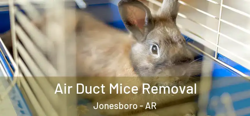 Air Duct Mice Removal Jonesboro - AR