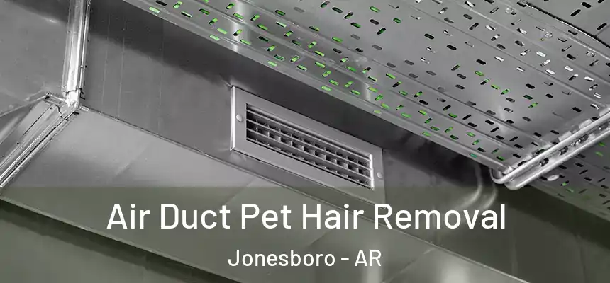 Air Duct Pet Hair Removal Jonesboro - AR