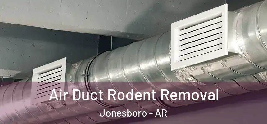 Air Duct Rodent Removal Jonesboro - AR