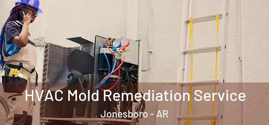 HVAC Mold Remediation Service Jonesboro - AR