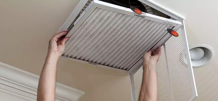 Preventive Cockroach-Proofing for Ducts in Jonesboro