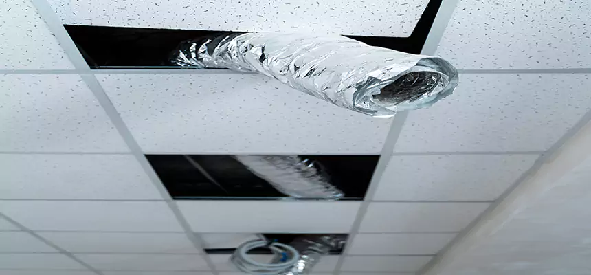 Affordable HVAC Sanitizing After Pest Removal in Jonesboro