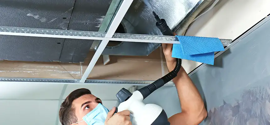 Our Air Duct Rodent Removal Services in Jonesboro, AR