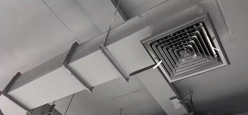 Our Pest Removal From Ducts Services in Jonesboro, AR