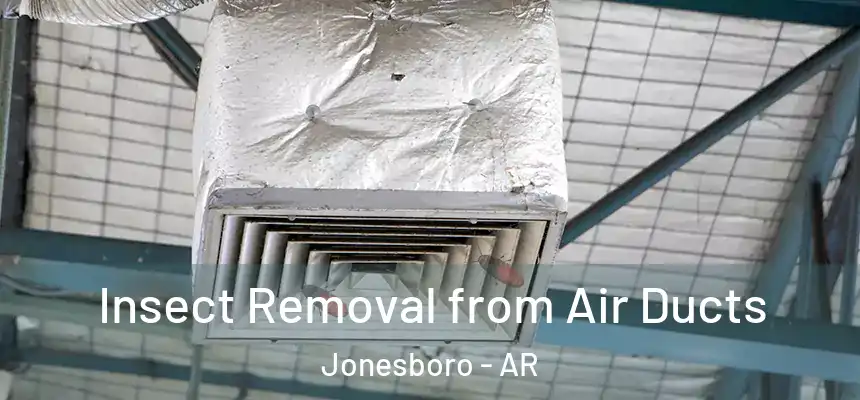  Insect Removal from Air Ducts Jonesboro - AR