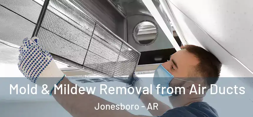 Mold & Mildew Removal from Air Ducts Jonesboro - AR