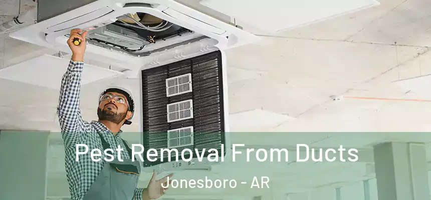 Pest Removal From Ducts Jonesboro - AR