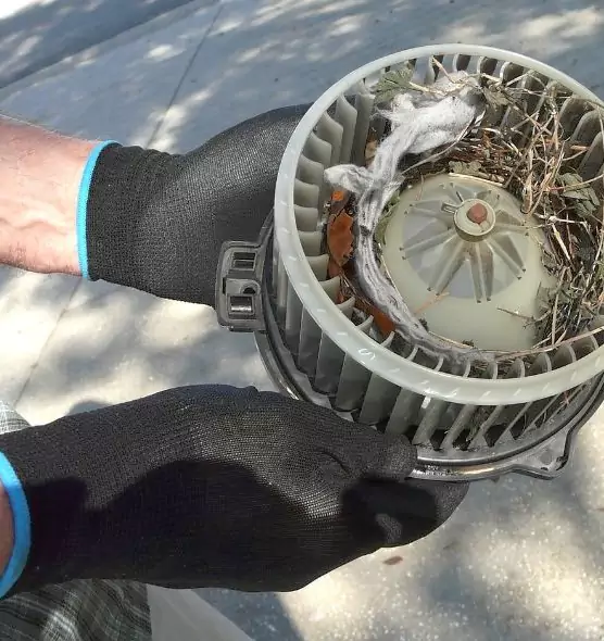 About Air Duct Mice Removal in Jonesboro, AR