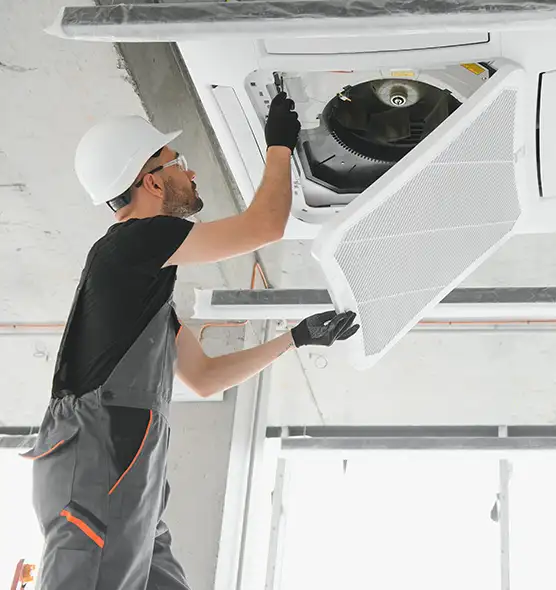 About Air Duct Rodent Removal in Jonesboro, AR