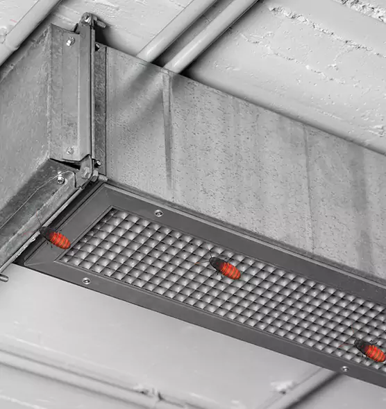 Affordable Insect Removal from Air Ducts in Jonesboro, AR