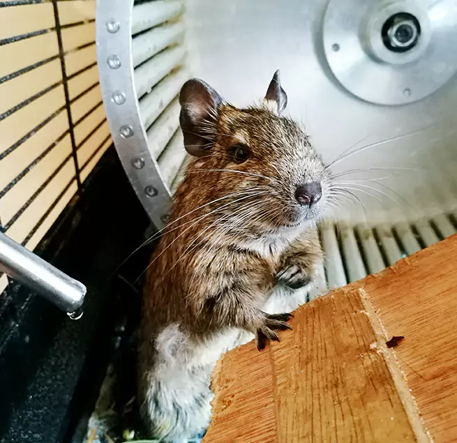 Why Homeowners & Businesses Trust Us Jonesboro, AR