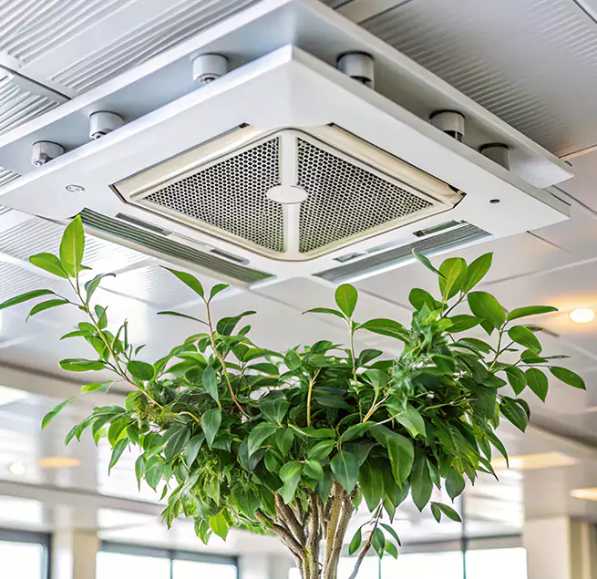 Why Homeowners & Businesses Trust Us in Jonesboro, AR?